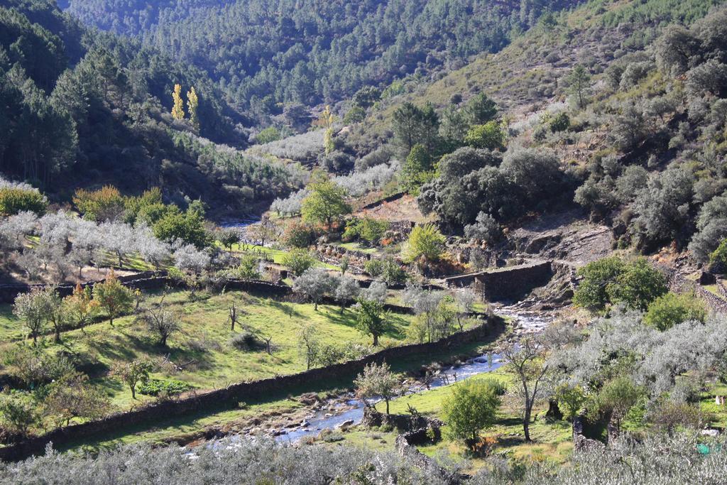 Casa Zambrana Konuk evi Pinofranqueado Dış mekan fotoğraf